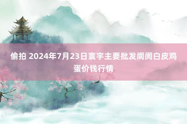 偷拍 2024年7月23日寰宇主要批发阛阓白皮鸡蛋价钱行情