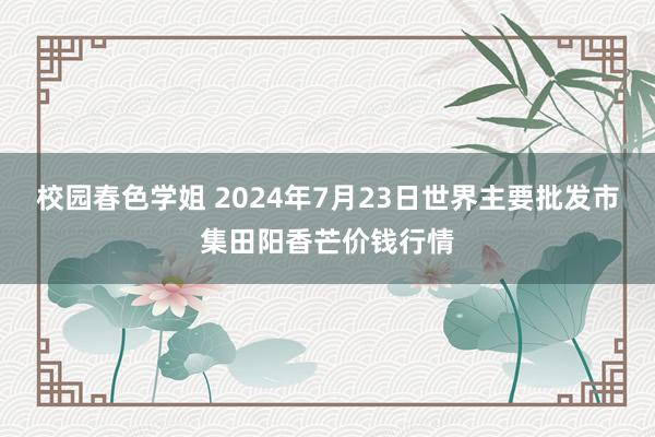 校园春色学姐 2024年7月23日世界主要批发市集田阳香芒价钱行情