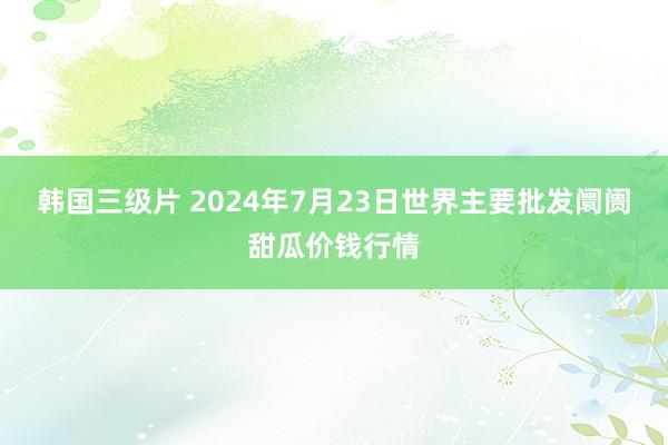 韩国三级片 2024年7月23日世界主要批发阛阓甜瓜价钱行情