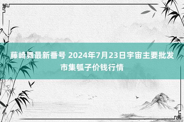 藤崎舞最新番号 2024年7月23日宇宙主要批发市集瓠子价钱行情