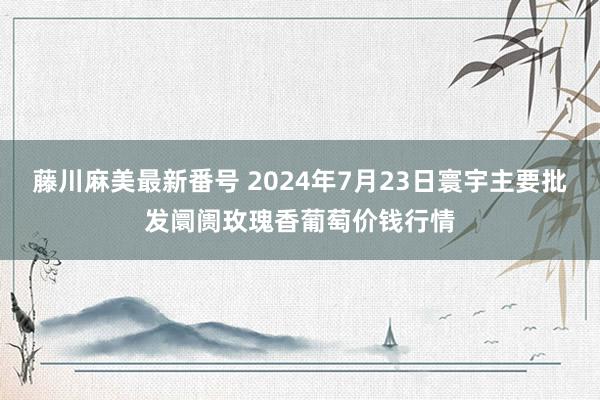 藤川麻美最新番号 2024年7月23日寰宇主要批发阛阓玫瑰香葡萄价钱行情