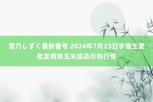 雪乃しずく最新番号 2024年7月23日宇宙主要批发商场玉米成品价钱行情