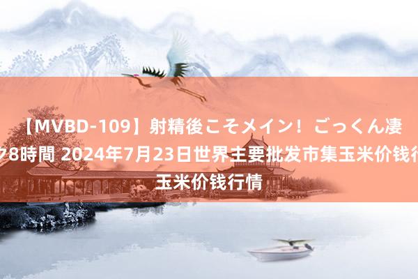 【MVBD-109】射精後こそメイン！ごっくん凄テク8時間 2024年7月23日世界主要批发市集玉米价钱行情