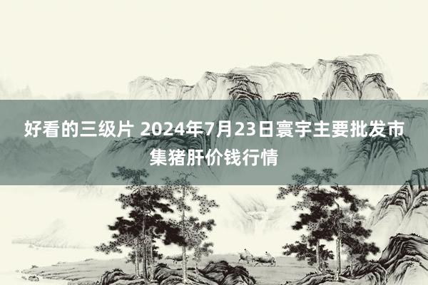 好看的三级片 2024年7月23日寰宇主要批发市集猪肝价钱行情