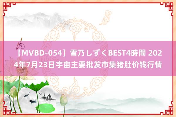 【MVBD-054】雪乃しずくBEST4時間 2024年7月23日宇宙主要批发市集猪肚价钱行情