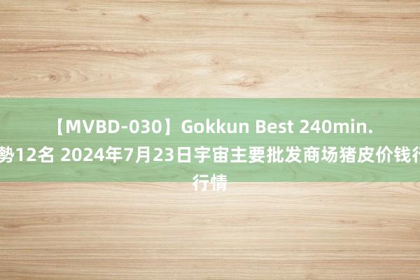 【MVBD-030】Gokkun Best 240min. 総勢12名 2024年7月23日宇宙主要批发商场猪皮价钱行情