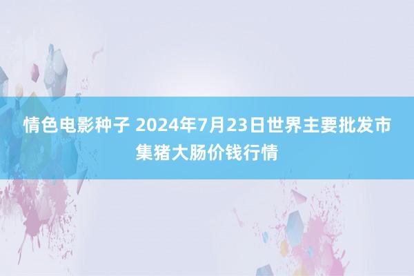 情色电影种子 2024年7月23日世界主要批发市集猪大肠价钱行情