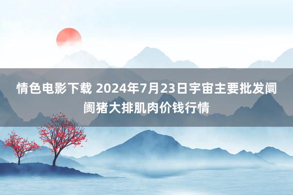 情色电影下载 2024年7月23日宇宙主要批发阛阓猪大排肌肉价钱行情