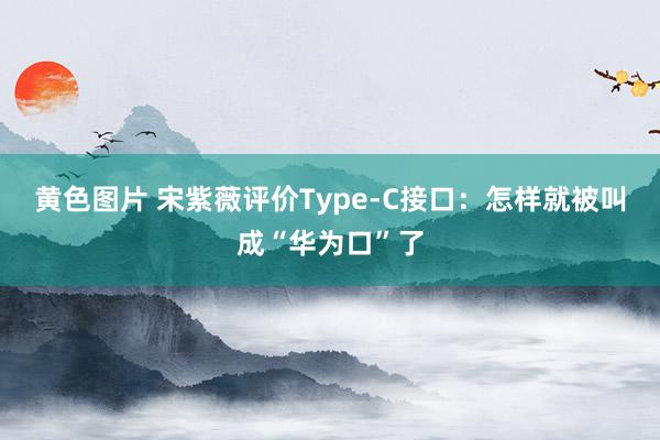 黄色图片 宋紫薇评价Type-C接口：怎样就被叫成“华为口”了