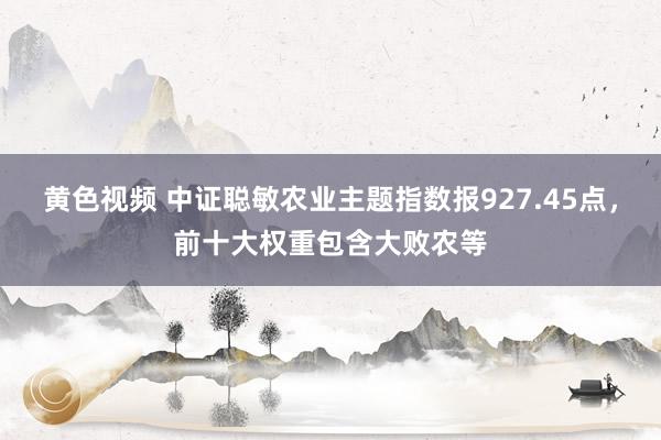 黄色视频 中证聪敏农业主题指数报927.45点，前十大权重包含大败农等