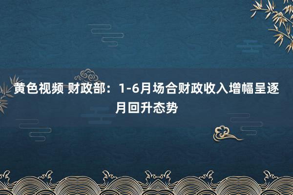 黄色视频 财政部：1-6月场合财政收入增幅呈逐月回升态势