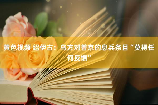 黄色视频 绍伊古：乌方对普京的息兵条目“莫得任何反馈”