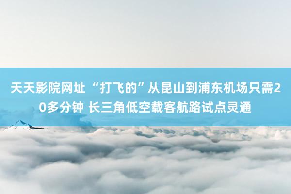 天天影院网址 “打飞的”从昆山到浦东机场只需20多分钟 长三角低空载客航路试点灵通