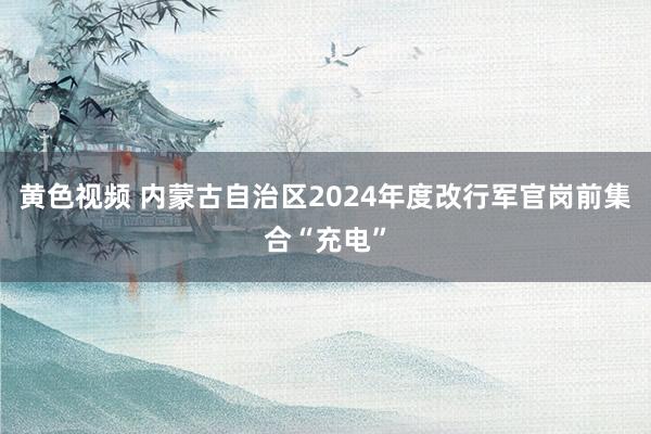 黄色视频 内蒙古自治区2024年度改行军官岗前集合“充电”