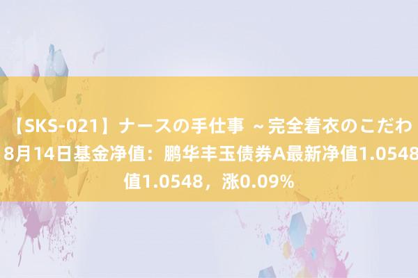 【SKS-021】ナースの手仕事 ～完全着衣のこだわり手コキ～ 8月14日基金净值：鹏华丰玉债券A最新净值1.0548，涨0.09%