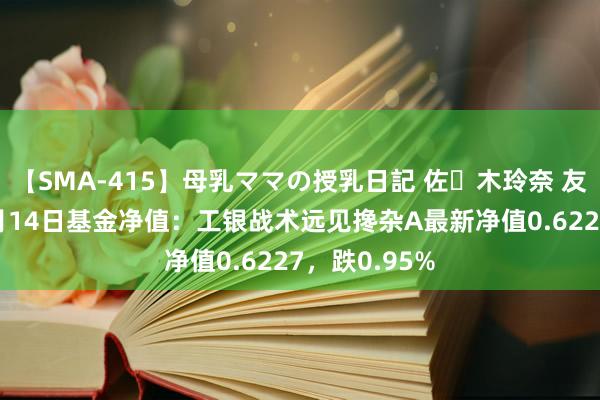 【SMA-415】母乳ママの授乳日記 佐々木玲奈 友倉なつみ 8月14日基金净值：工银战术远见搀杂A最新净值0.6227，跌0.95%