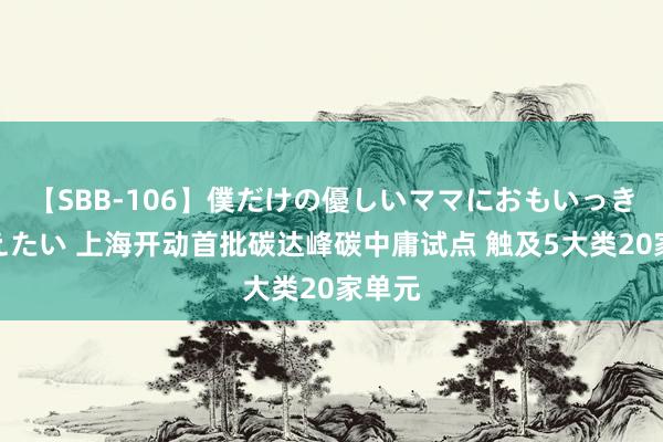 【SBB-106】僕だけの優しいママにおもいっきり甘えたい 上海开动首批碳达峰碳中庸试点 触及5大类20家单元