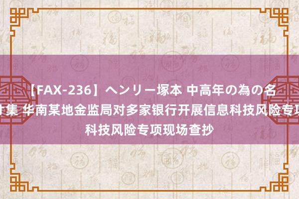 【FAX-236】ヘンリー塚本 中高年の為の名作裏ビデオ集 华南某地金监局对多家银行开展信息科技风险专项现场查抄