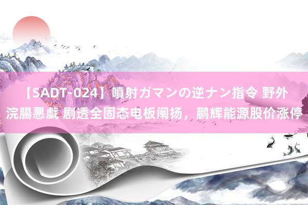 【SADT-024】噴射ガマンの逆ナン指令 野外浣腸悪戯 剧透全固态电板阐扬，鹏辉能源股价涨停