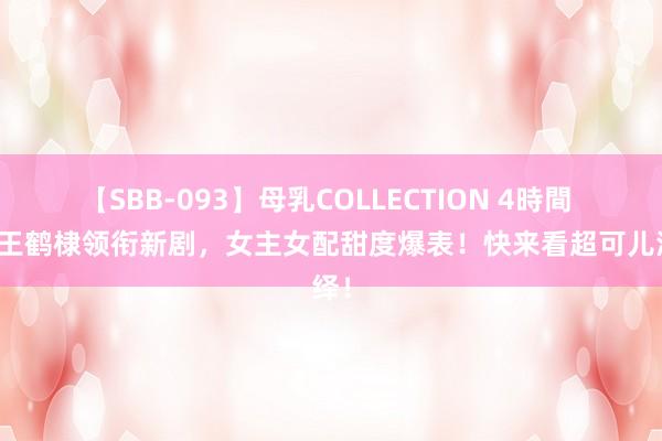 【SBB-093】母乳COLLECTION 4時間 燃！王鹤棣领衔新剧，女主女配甜度爆表！快来看超可儿演绎！