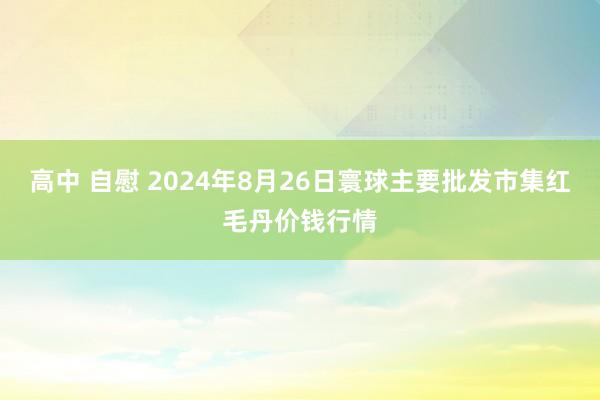 高中 自慰 2024年8月26日寰球主要批发市集红毛丹价钱行情