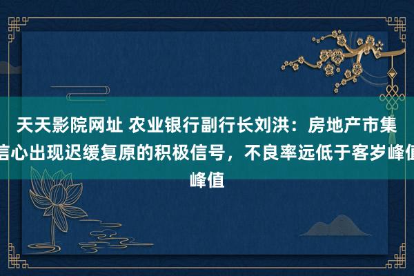 天天影院网址 农业银行副行长刘洪：房地产市集信心出现迟缓复原的积极信号，不良率远低于客岁峰值