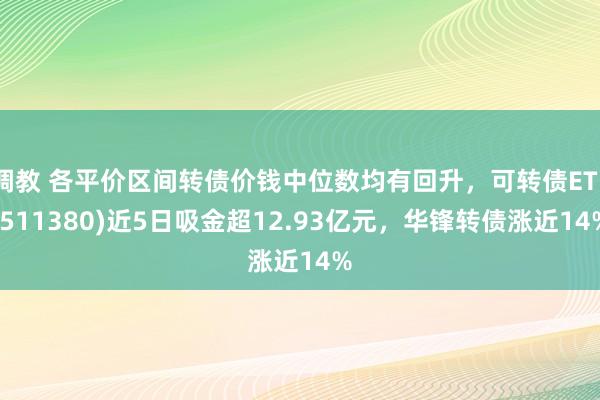 调教 各平价区间转债价钱中位数均有回升，可转债ETF(511380)近5日吸金超12.93亿元，华锋转债涨近14%