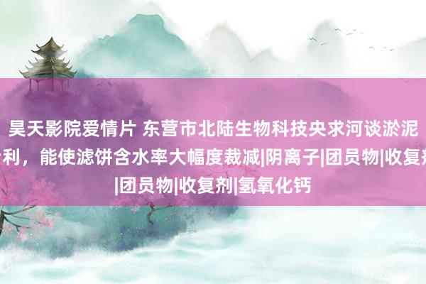 昊天影院爱情片 东营市北陆生物科技央求河谈淤泥脱水关系专利，能使滤饼含水率大幅度裁减|阴离子|团员物|收复剂|氢氧化钙